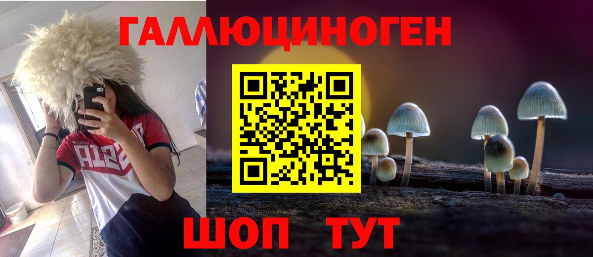 Галлюциногенные грибы Psilocybe Воронеж